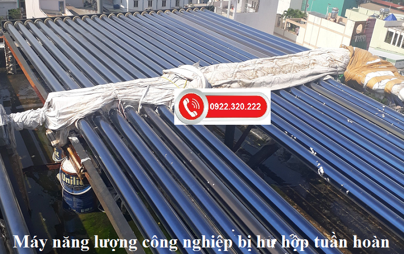 dàn công nghiệp hư hộp tuần hoàn
